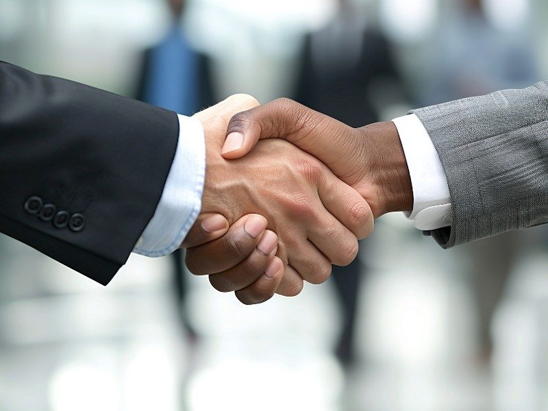 Governance and partnership
